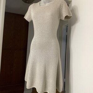 Max&Co Silver Knit Mini Dress Size: Small